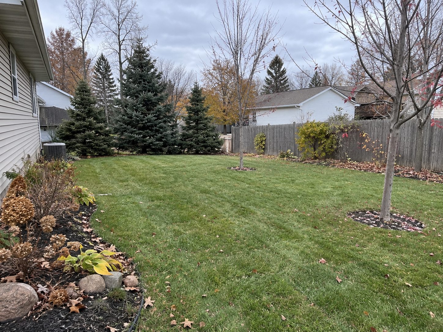 Residential yard after a fall cleanup