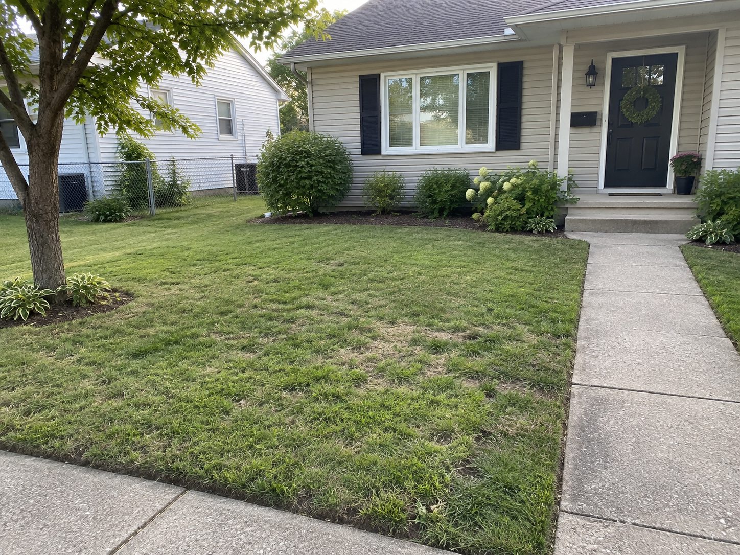 Mowed and trimmed residential front yard